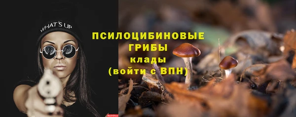 ECSTASY Медногорск