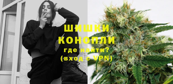 сатива Медвежьегорск