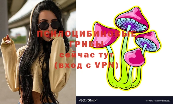 сатива Медвежьегорск