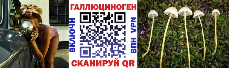 Галлюциногенные грибы GOLDEN TEACHER  Приволжский 